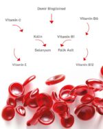 Hasz Labs Iron Bisglicinate & Vitamin B Kompleks 30 Kapsül - Görsel 3
