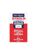 SİTİKOLİN, DHA OMEGA 3 VE B12 (30 KAPSÜL)
