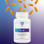 Slm Akkermansia Muciniphila & Garcinia Cambogia Extract 60 Kapsül (Probiyotik + Prebiyotik + İnülin)
